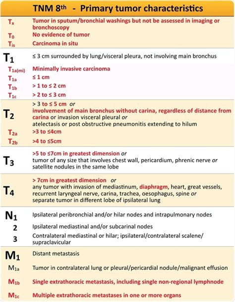 Stages of Lung Cancer