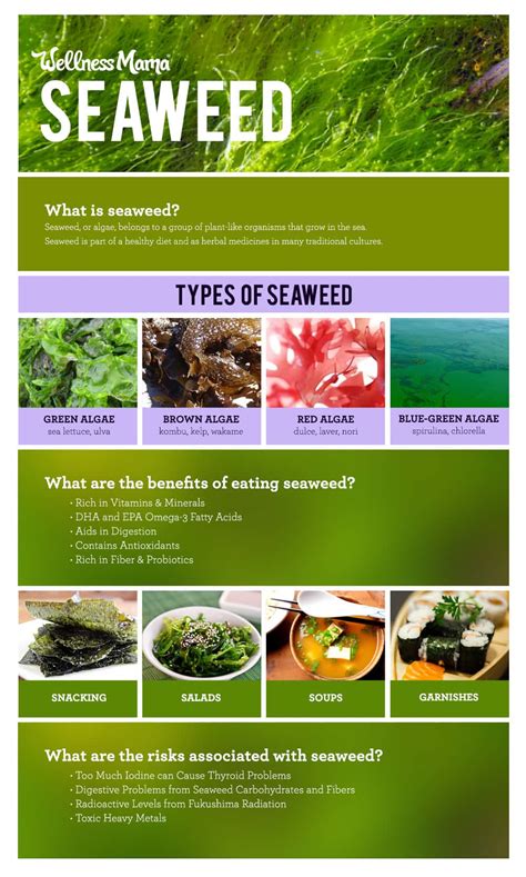 The Benefits of Seaweed (And When To Avoid It) | Wellness Mama