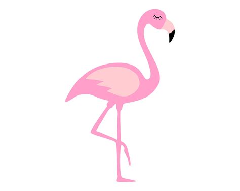 Flamingo SVG - Etsy