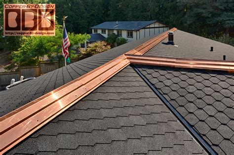 copper roof strips - 12.300 About Roof