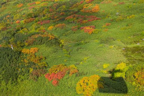 5 Most Famous Places for Autumn Foliage in Hokkaido | TiptoeingWorld