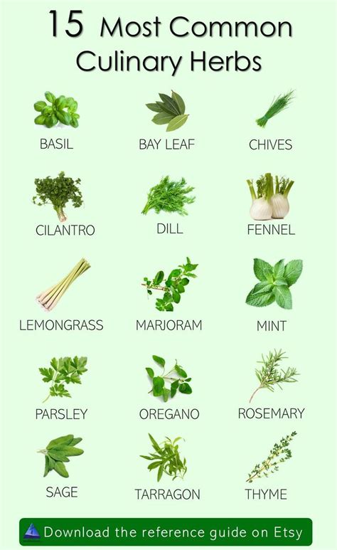 Culinary Herbs Reference Chart, Printable Herb Guide, Kitchen Herbs, Cooking Herbs, Reference ...