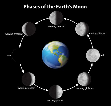 Phases of the Moon 606225 Vector Art at Vecteezy