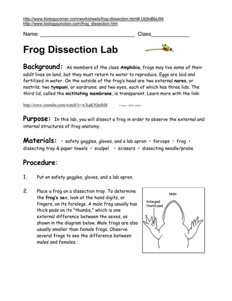 External Frog Anatomy - Anatomy Reading Source