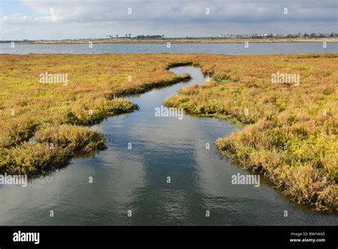 Bolsa Chica Ecological Reserve Wetlands Stock Photo - Alamy