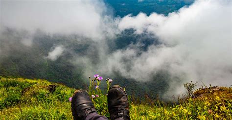 A guide to exciting trekking trails in Wayanad | Kerala News | Manorama ...