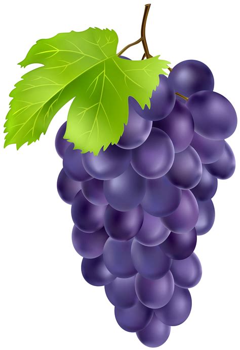 Grape clipart high quality, Grape high quality Transparent FREE for ...