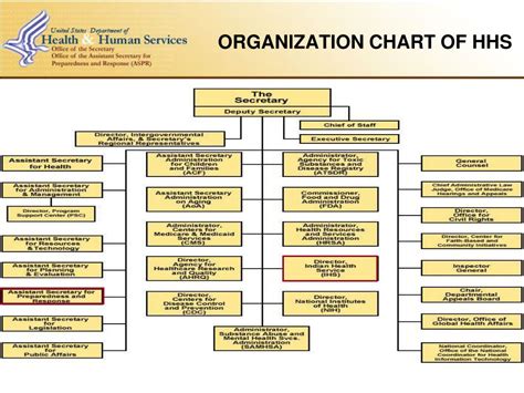 Hhs Org Chart: A Visual Reference of Charts | Chart Master