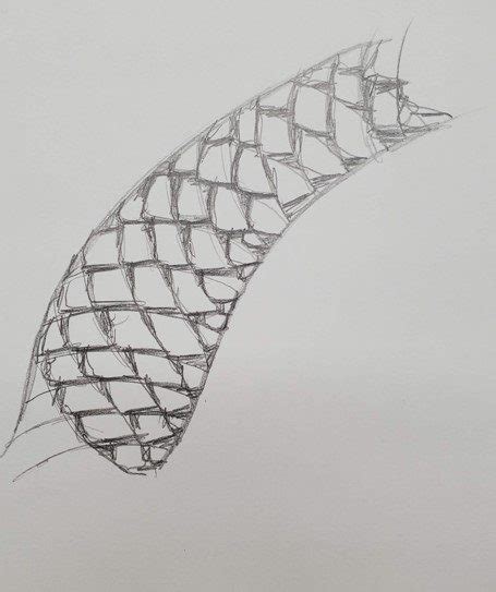 How to Draw Snake Scales with Markers - Art by Ro