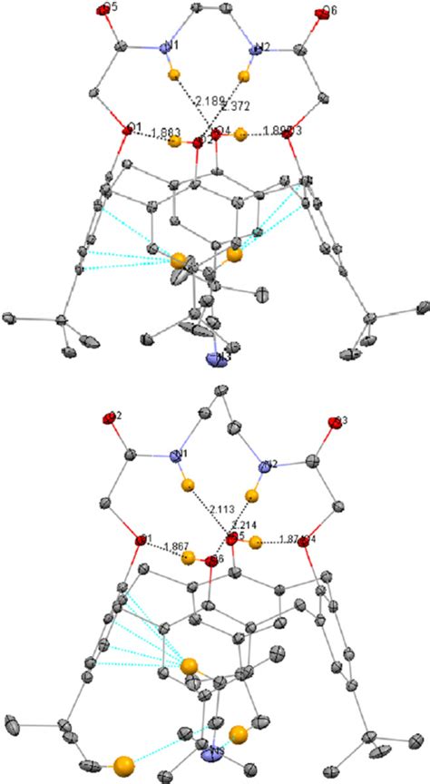 The calixarene molecule, with included CH 3 CN, found in the crystal... | Download Scientific ...