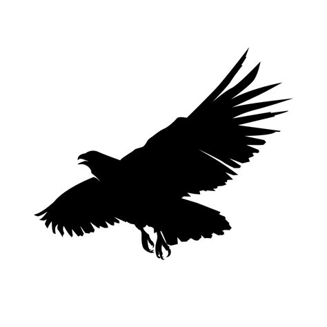 Silhouette of eagle, silhouette of falcon, silhouette design of bird, simple illustration of ...