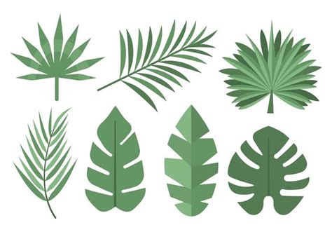 Tropical Palm Leaves Vector 146162 Vector Art at Vecteezy