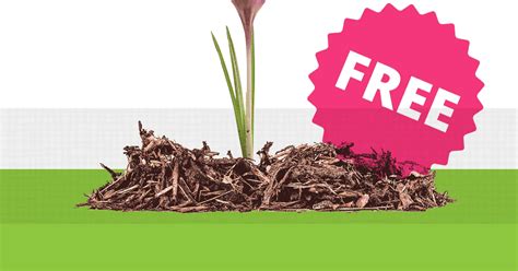 Free Mulch. Why You Want It & Where to Get It