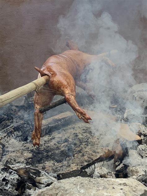 Cooking pig : r/pics