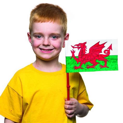 Welsh Dragon Flag craft activity guide | Baker Ross