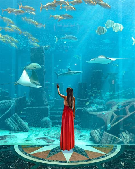 Hotel Review: The Atlantis The Palm Dubai - voyagefox