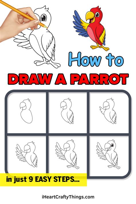 Parrot Drawing — How To Draw A Parrot Step By Step