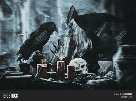 Scary Wizard Raven. Image & Photo (Free Trial) | Bigstock