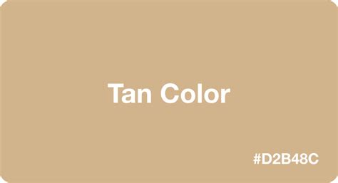 Tan Color: Best Practices, Color Codes, Palettes & More!