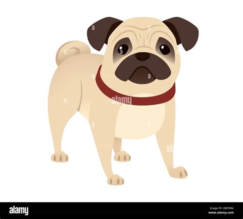 Cute small friendly pug dog cartoon domestic animal design flat vector illustration isolated on ...