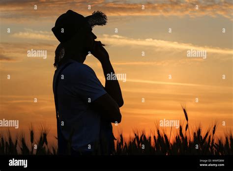 Silhouette of farmer in wheat field at sunset Stock Photo - Alamy