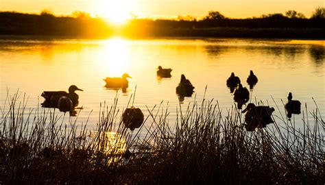 Decoy Spread Strategies | Sportsman's Guide