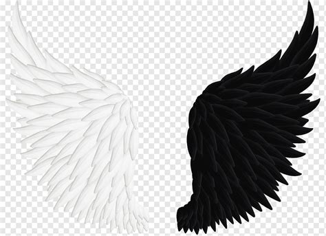 Fallen Angel Black Wings Png - 375 transparent png illustrations and cipart matching fallen angel.