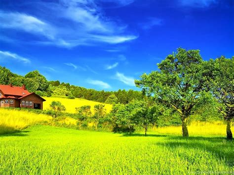 Most Beautiful Green Nature In The World Backgrounds, green world HD wallpaper | Pxfuel