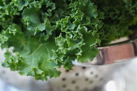 Kale: Health Benefits & Nutrition Facts | Live Science