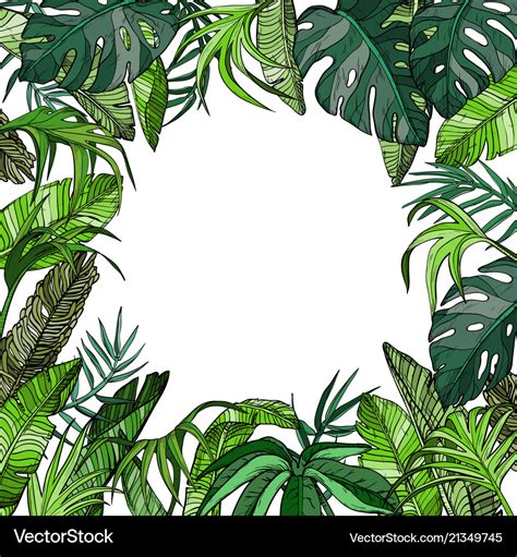 Tropical background with palm leaves Royalty Free Vector