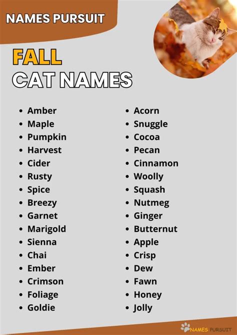 420+ Fall Cat Names [Fun Autumn-Inspired Ideas]