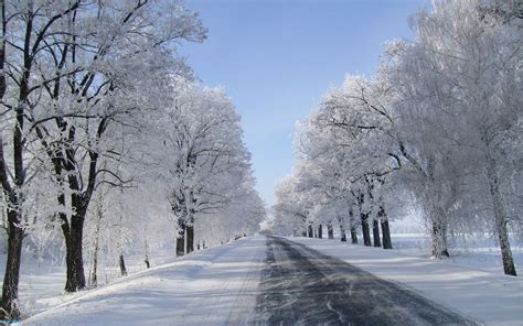 Winter Snowfall Wallpapers - Wallpaper Cave