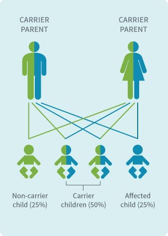 Types of DNA Testing | AncestryDNA® Learning Hub