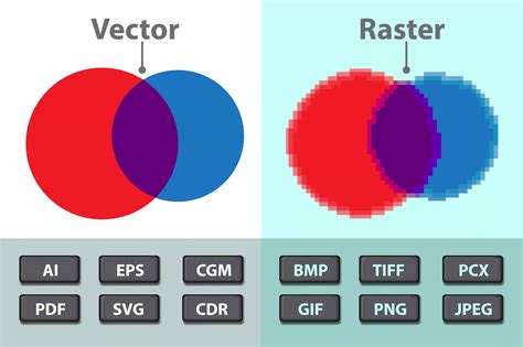 Which Graphic File Format is Best: Vector and Raster Images - Tell Your ...