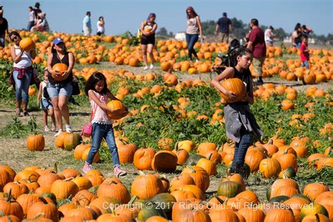 Ringo Chiu Photography: 20171007 Pumpkin Festival in Cal Poly Pomona