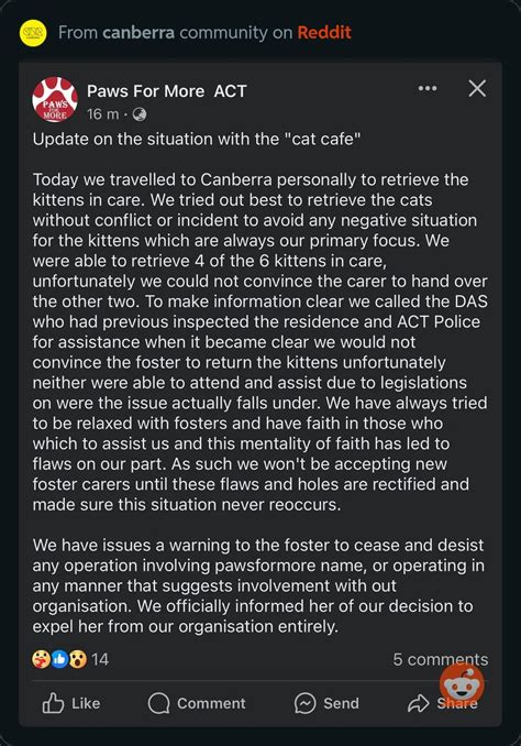 Update on Perth Cat Cafe : r/mildlyinfuriating