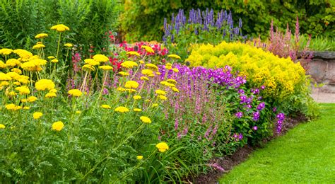 18 Summer Flowers for the Prettiest Garden Ever