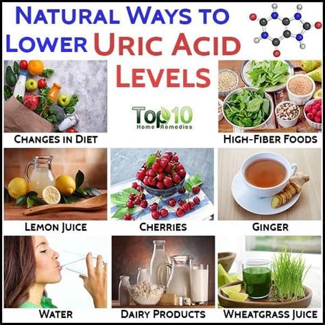 Uric Acid | Uric acid, Uric acid food, Uric acid diet food