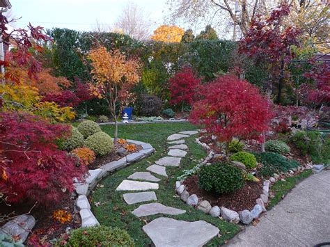 Japanese maple garden fall colors | Japanese maple garden fa… | Flickr