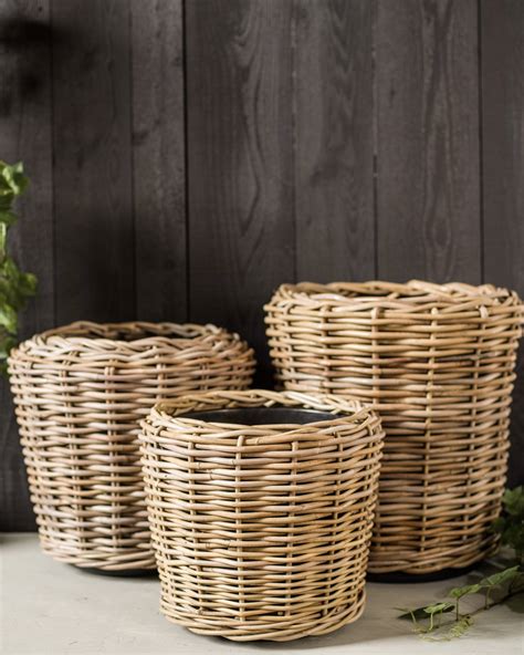 RATTAN PLANTERS at Rs 4000/piece | Plant Pots | ID: 20429188348