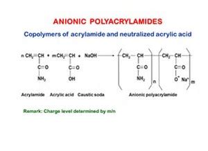 Anionic polymer