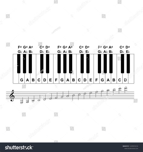 Piano Keyboard Diagram Piano Keyboard Layout 스톡 벡터(로열티 프리) 1220591614 | Shutterstock