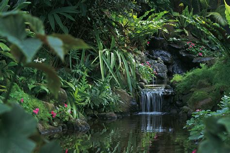 How Does the Climate Affect the Ecosystem of the Rainforest? | Sciencing