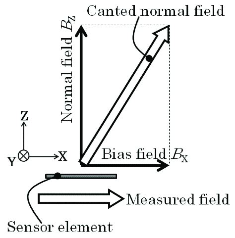 Magnetic domain of the sensor element observed by Kerr microscope ...