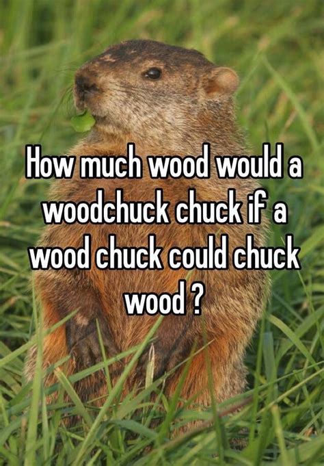 How Much Wood Could a Woodchuck Chuck