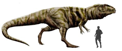 Giganotosaurus Vs T Rex: Comparison Of Size, Speed And Intelligence