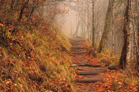 Appalachian National Scenic Trail | Description, Map, Photos, & Length ...