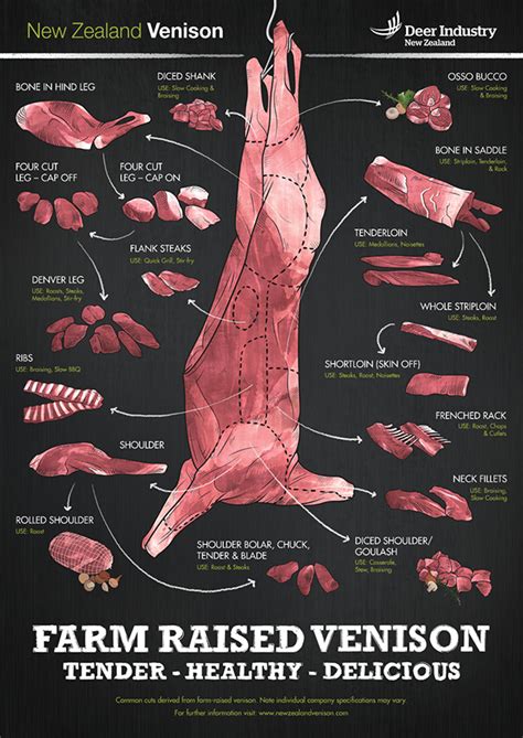 deer meat cuts poster