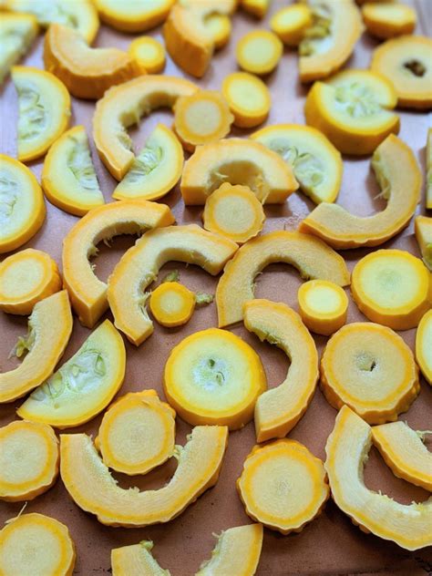 Roasted Crookneck Squash (Vegan, Gluten Free) - The Herbeevore