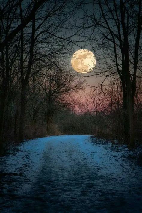 45 Fascinating Full Moon Photography Tips and Ideas